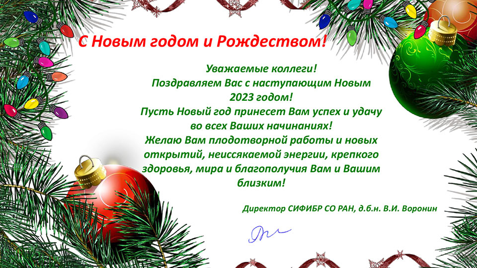 С Новым годом и Рождеством!