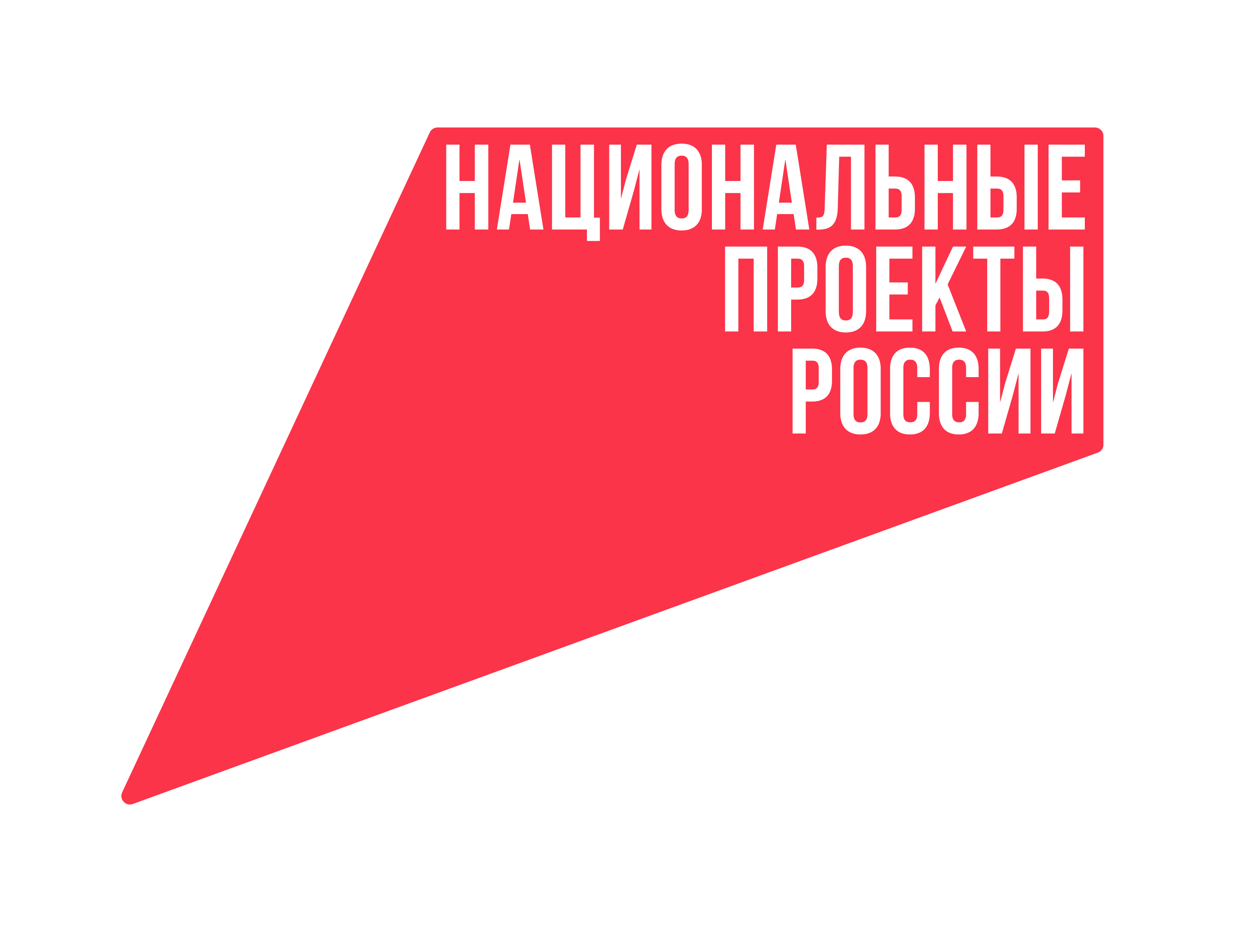 Национальный проекты России