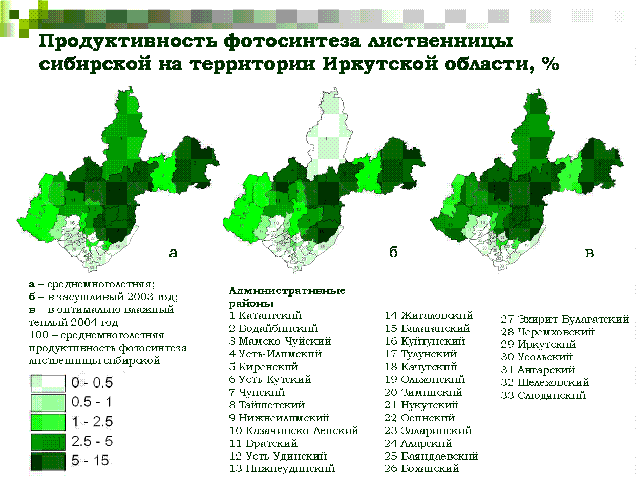 Продуктивность фотосинтеза лиственницы сибирской на территории Иркутской области